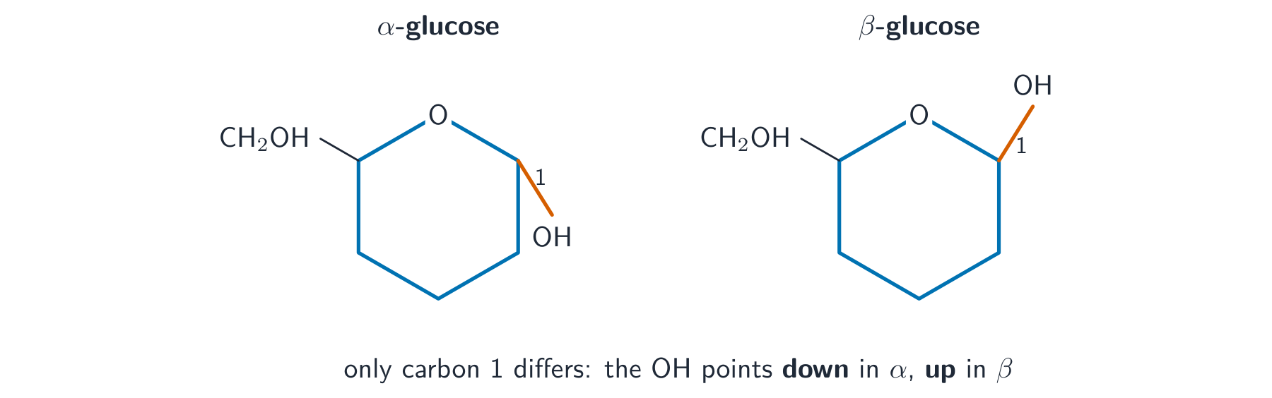 Two simplified glucose ring diagrams side by side; in alpha-glucose the hydroxyl on carbon 1 points down, in beta-glucose it points up