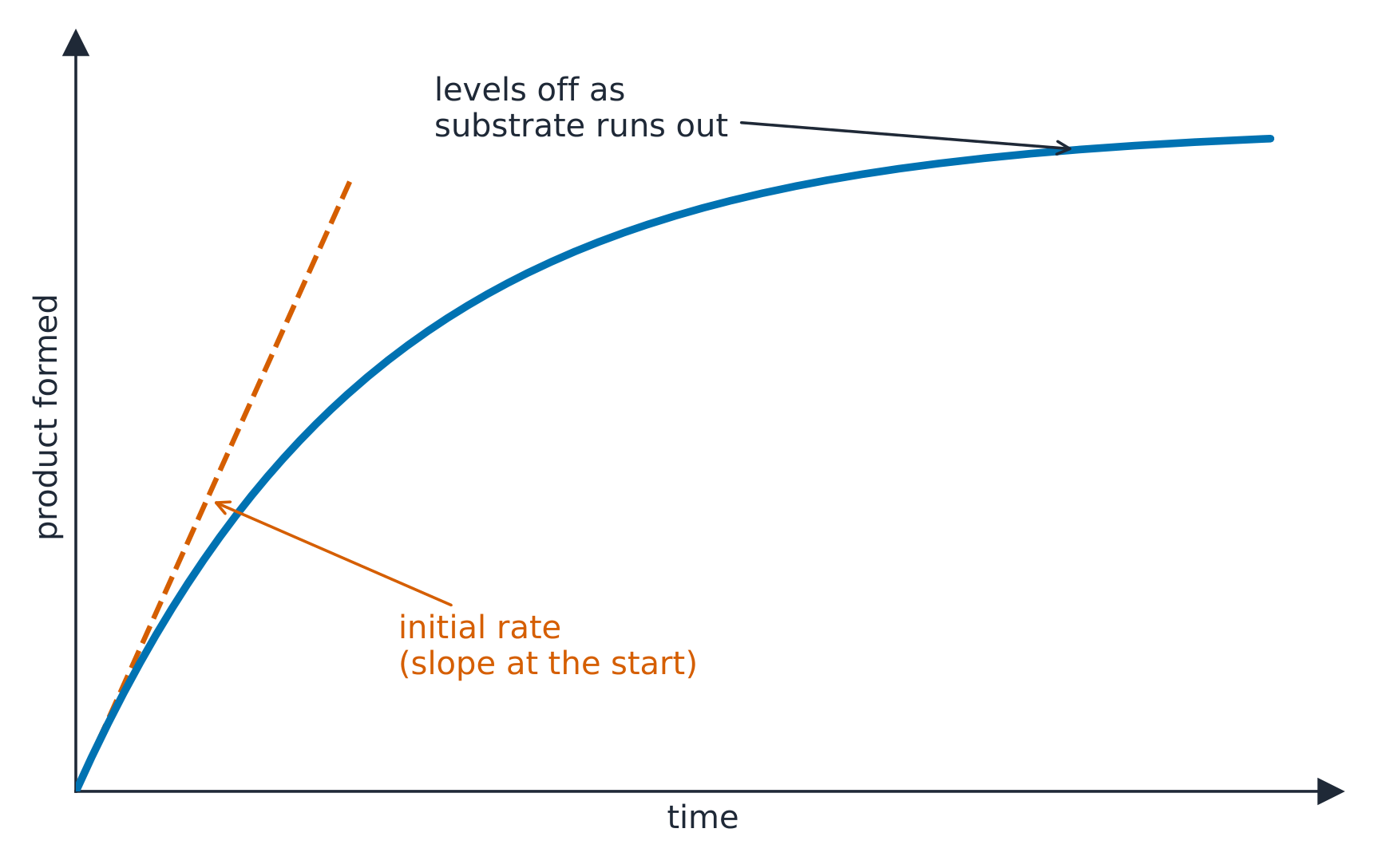 A curve of product formed against time that is steepest at the start and levels off; a dashed tangent at time zero marks the initial rate