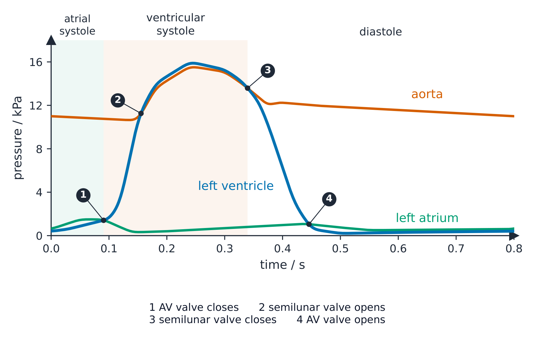 Pressure in kilopascals against time over 0.8 seconds for the left atrium, left ventricle and aorta. In atrial systole, up to about 0.09 seconds, the atrium is slightly above the ventricle. Point 1, where the ventricle rises above the atrium, is the AV valve closing. The ventricle then rises steeply; point 2, at about 0.16 seconds and 11 kilopascals, where it rises above the aorta, is the semilunar valve opening. Ventricle and aorta rise together to about 16 kilopascals. Point 3, at about 0.34 seconds, where the ventricle falls below the aorta, is the semilunar valve closing, followed by a small notch in the aorta curve. Point 4, at about 0.45 seconds, where the ventricle falls below the atrium, is the AV valve opening. In diastole the aorta falls slowly from about 12 to 11 kilopascals