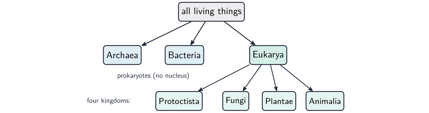 A tree showing all living things splitting into three domains — Archaea, Bacteria and Eukarya — with the Eukarya then splitting into the four kingdoms Protoctista, Fungi, Plantae and Animalia