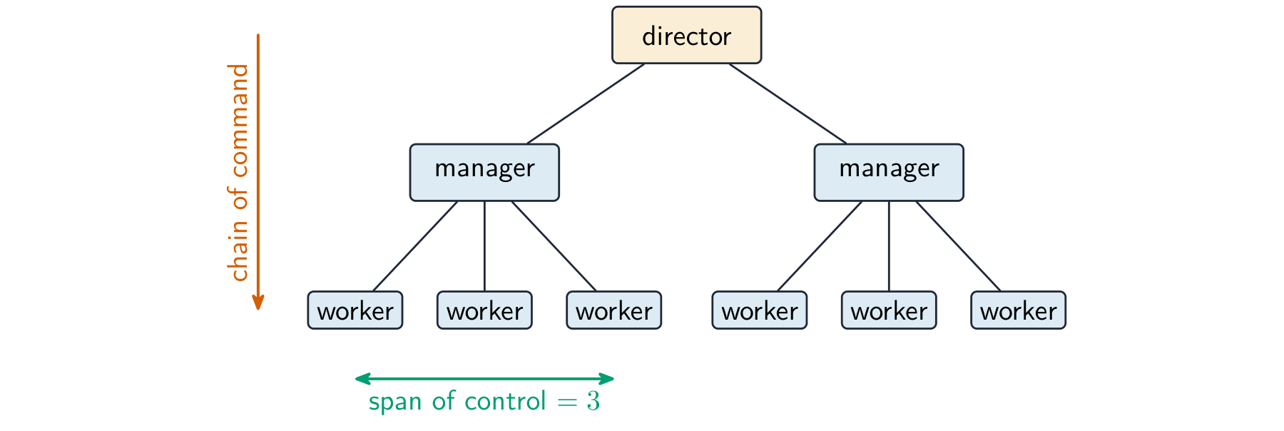 Organisation chart with a director over two managers, each in charge of three workers, marking the chain of command running top to bottom and a manager's span of control
