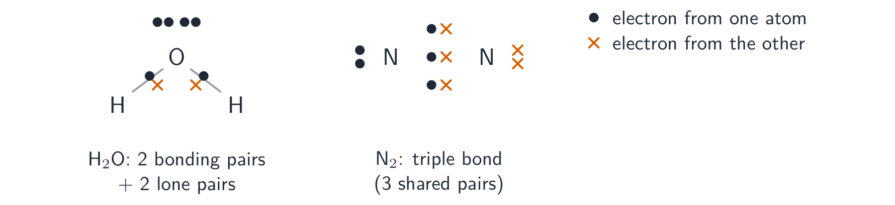 Dot-and-cross diagrams for water and nitrogen: water shows two bonding pairs and two lone pairs on oxygen, nitrogen shows three shared pairs and a lone pair on each atom