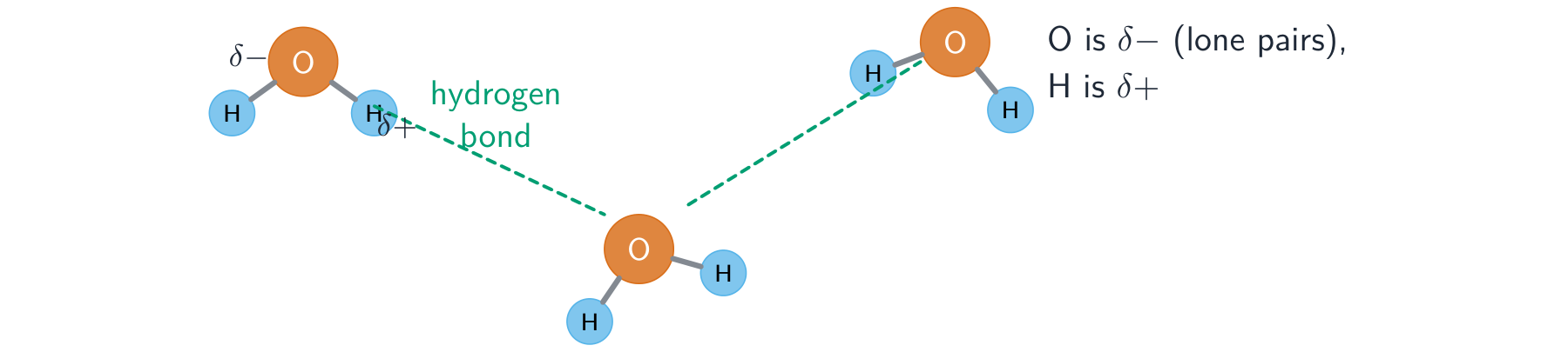 Three water molecules linked by dashed hydrogen bonds, each running from a slightly positive hydrogen to the slightly negative oxygen of a neighbour