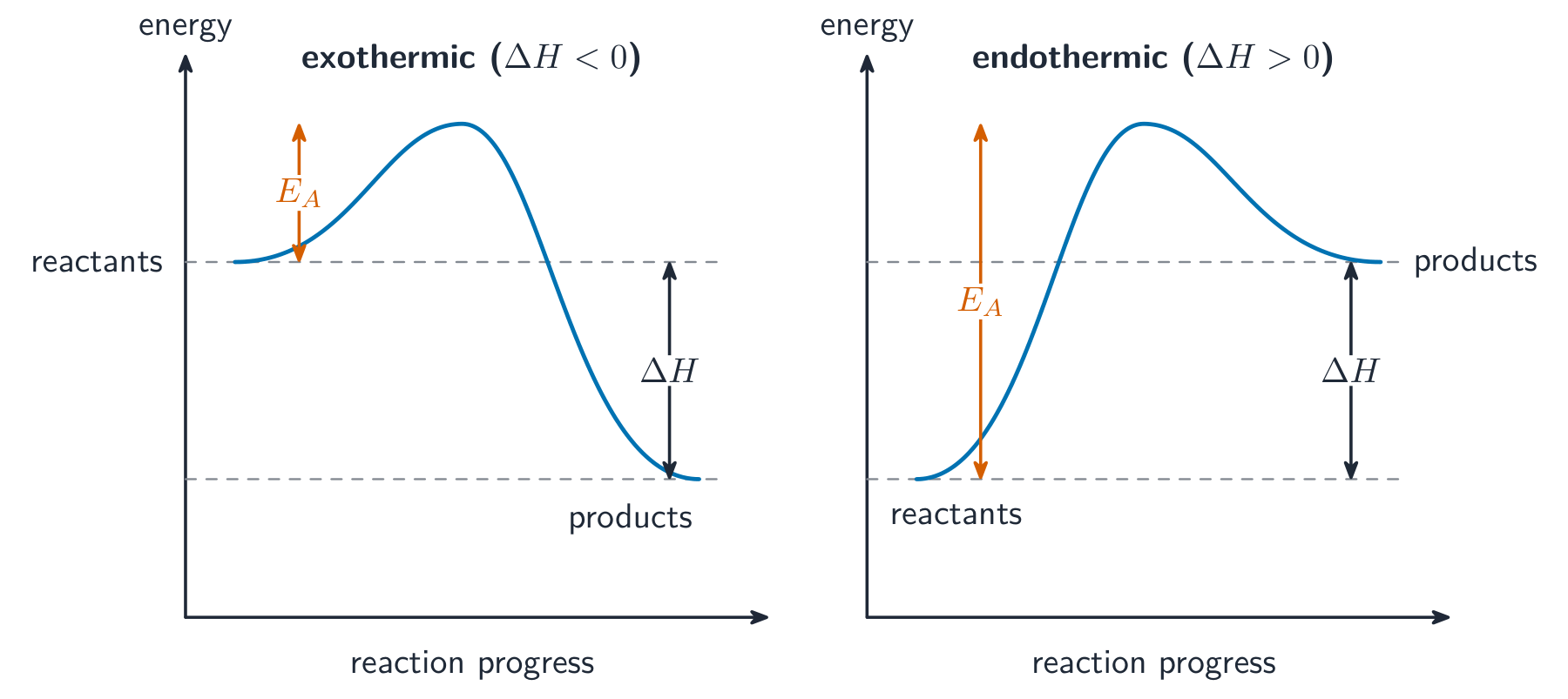 Two reaction pathway diagrams side by side: an exothermic one with products below the reactants, and an endothermic one with products above