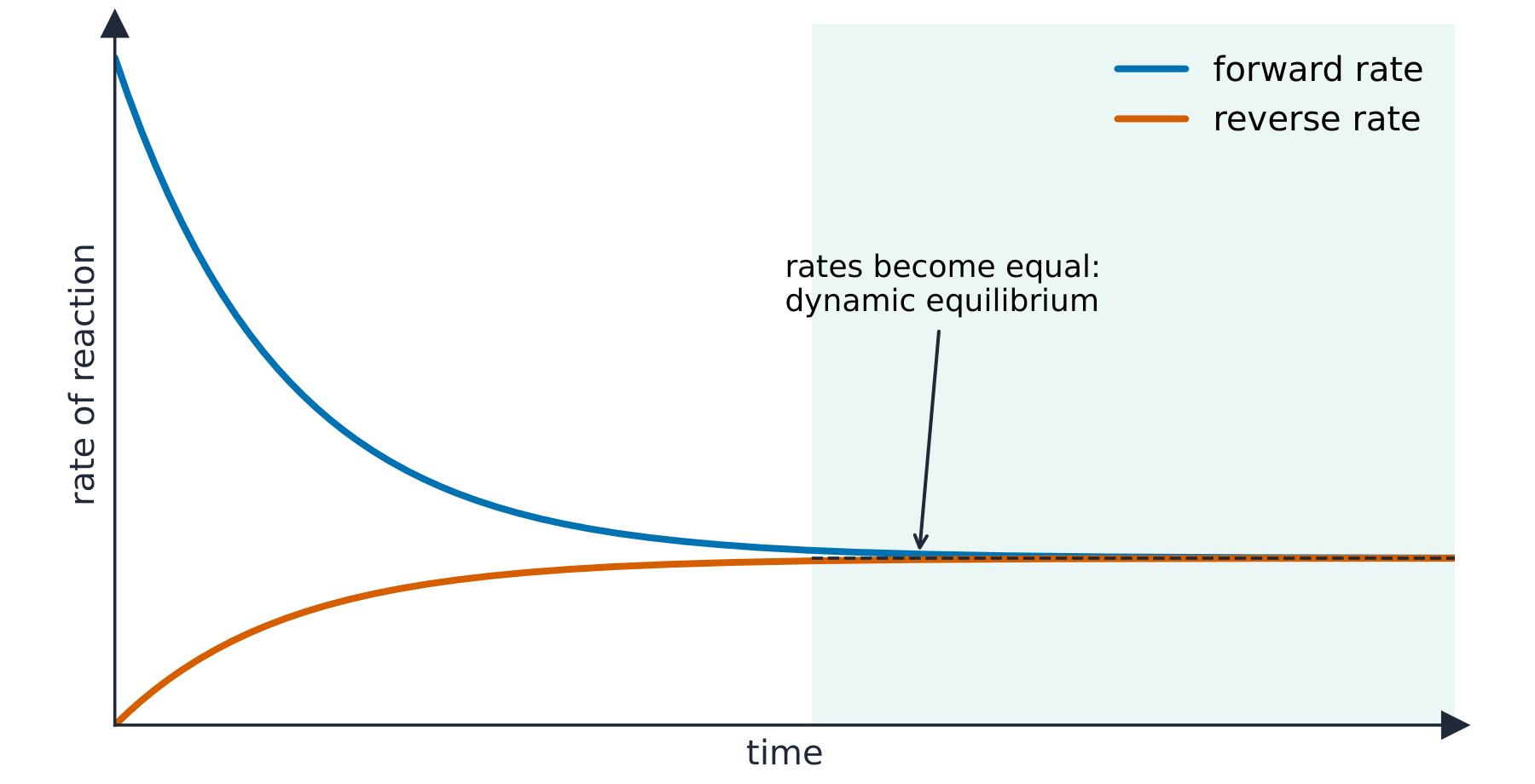 A graph where the forward rate falls and the reverse rate rises until the two meet and stay equal