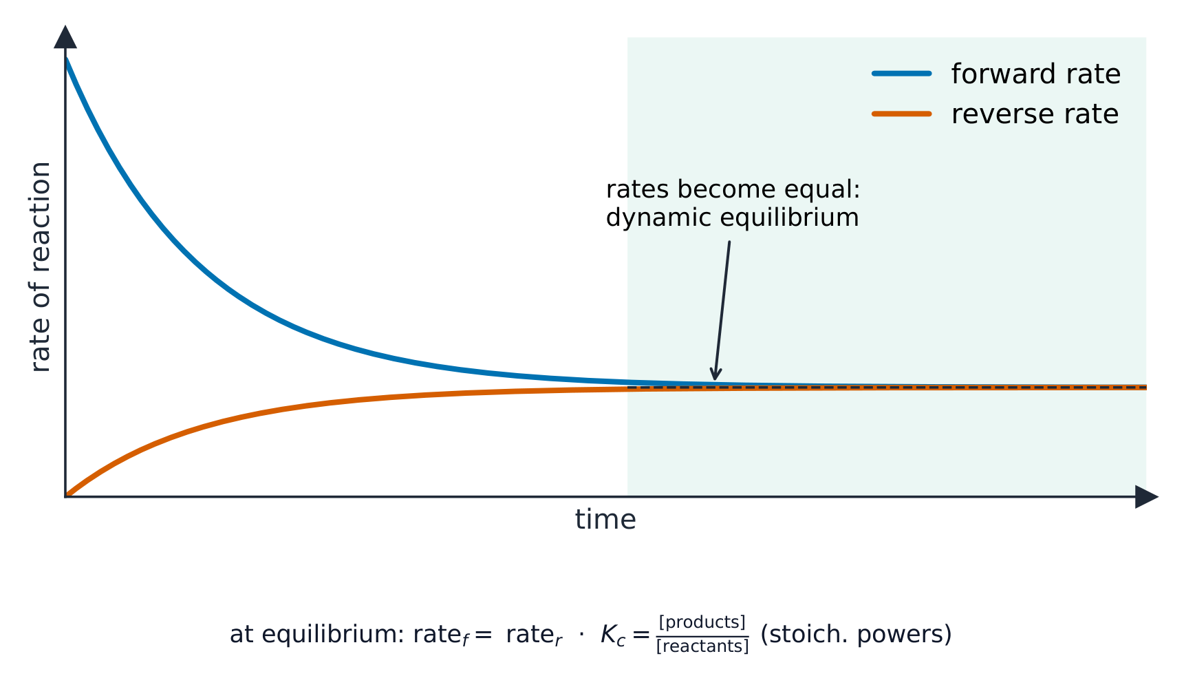 A graph where the forward rate falls and the reverse rate rises until the two meet and stay equal