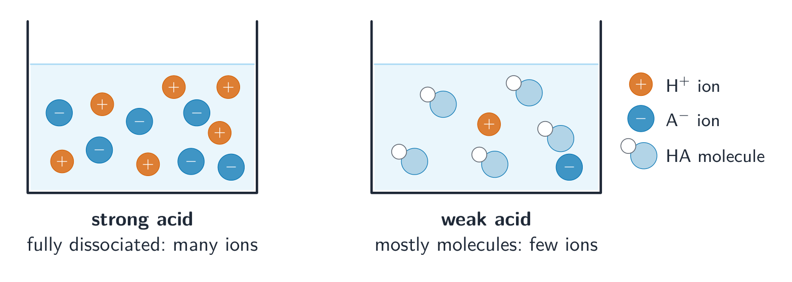 Two beakers at the same concentration: the strong acid full of separate ions, the weak acid full of whole molecules with only a few ions