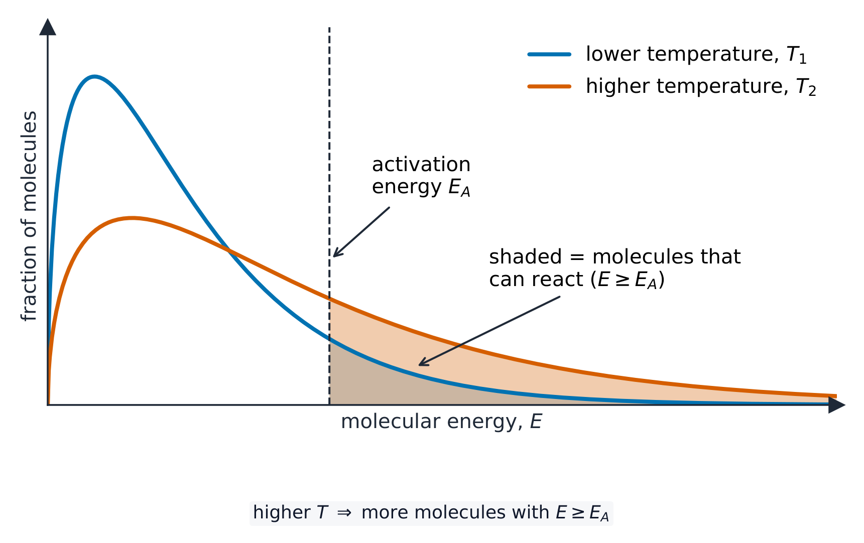 At higher temperature the curve spreads to the right, so a larger fraction of molecules can react
