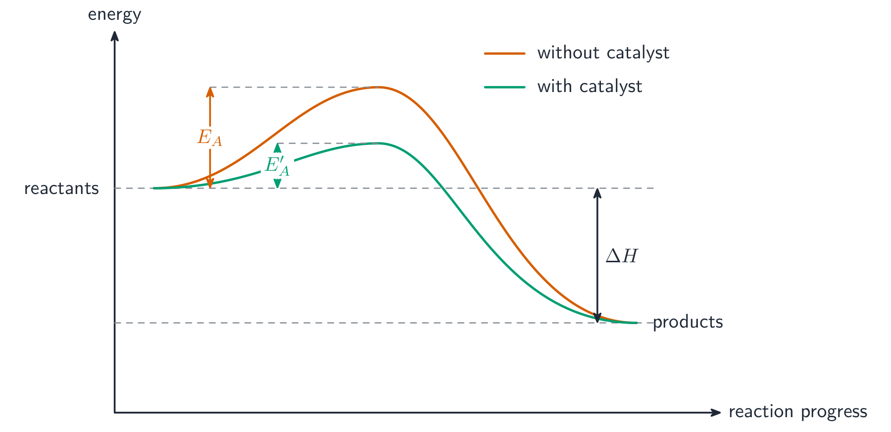 Reaction pathway diagram comparing the catalysed and uncatalysed routes, with a lower activation energy hill for the catalysed route and the same enthalpy change