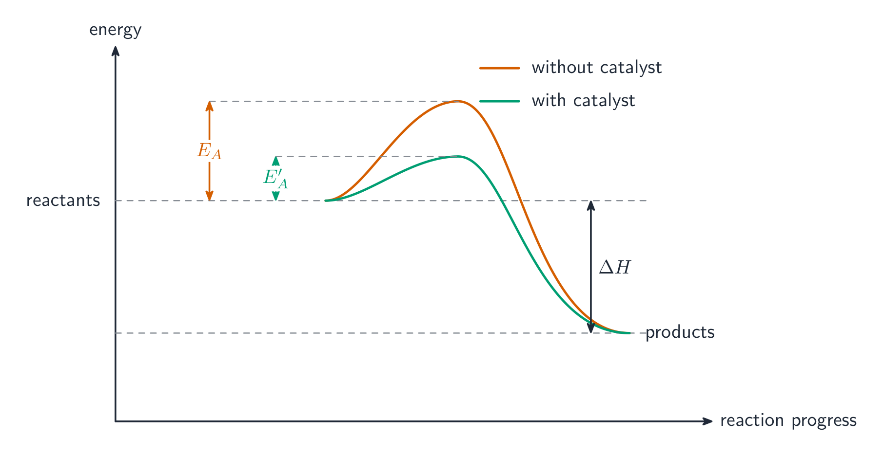 Reaction pathway diagram comparing the catalysed and uncatalysed routes, with a lower activation energy hill for the catalysed route and the same enthalpy change