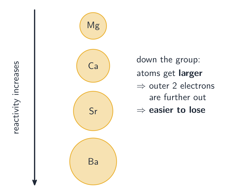 Group 2 atoms growing larger from magnesium down to barium, beside a downward arrow labelled reactivity increases