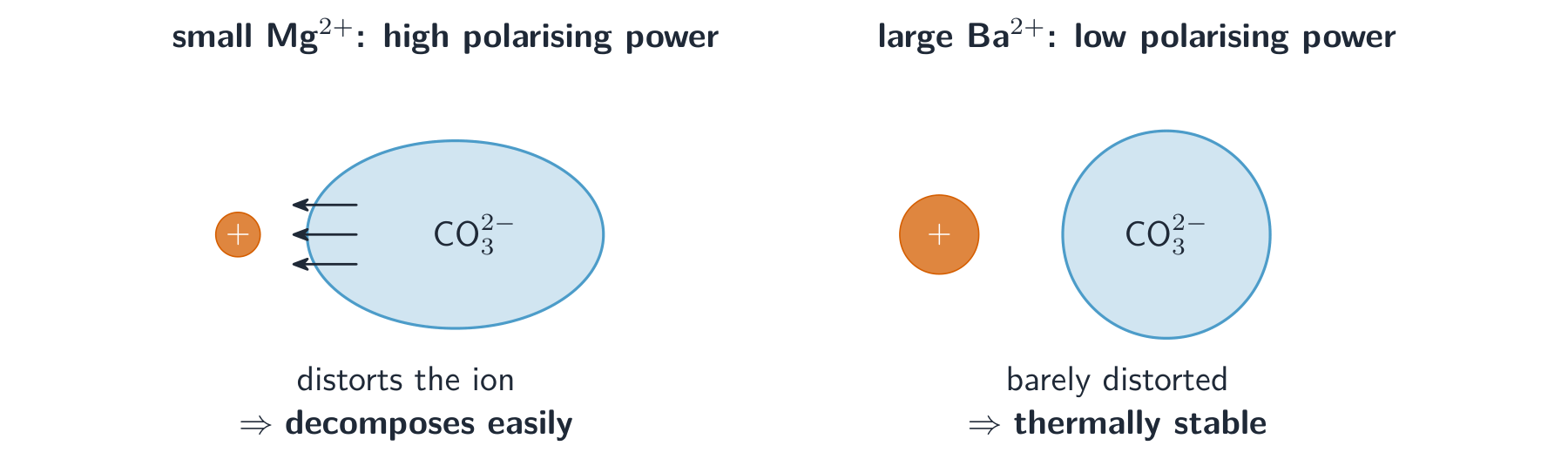 A small magnesium ion strongly distorting a carbonate ion next to a large barium ion that barely distorts it