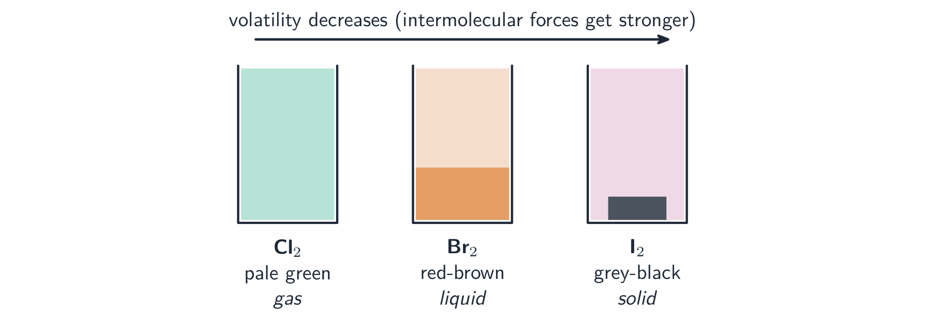 Three gas jars: chlorine as a pale green gas, bromine as a red-brown liquid, iodine as a grey-black solid