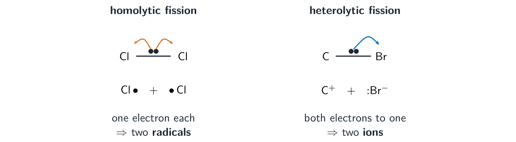 Homolytic fission splitting a Cl–Cl bond into two chlorine radicals; heterolytic fission sending both bonding electrons to bromine to give two ions
