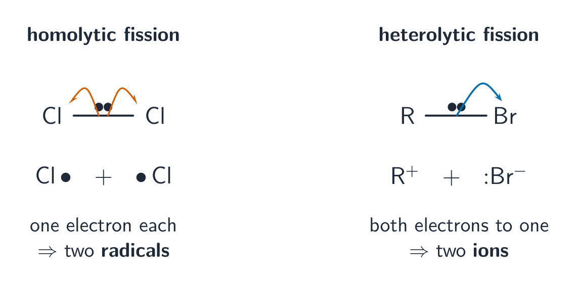 Homolytic fission splitting a Cl–Cl bond into two chlorine radicals; heterolytic fission sending both bonding electrons to bromine to give two ions