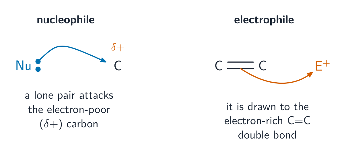A nucleophile using its lone pair to attack a slightly positive carbon; an electrophile being drawn to a C=C double bond