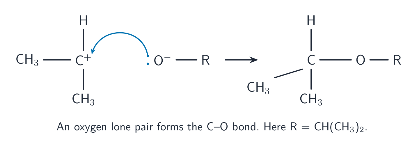 Teacher-drawn second SN1 stage: an oxygen lone pair forms a new C–O bond with the carbocation