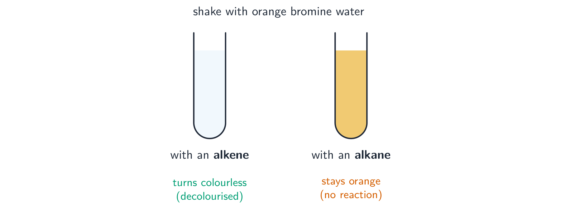Two test tubes of orange bromine water: the one with an alkene has turned colourless, the one with an alkane is still orange