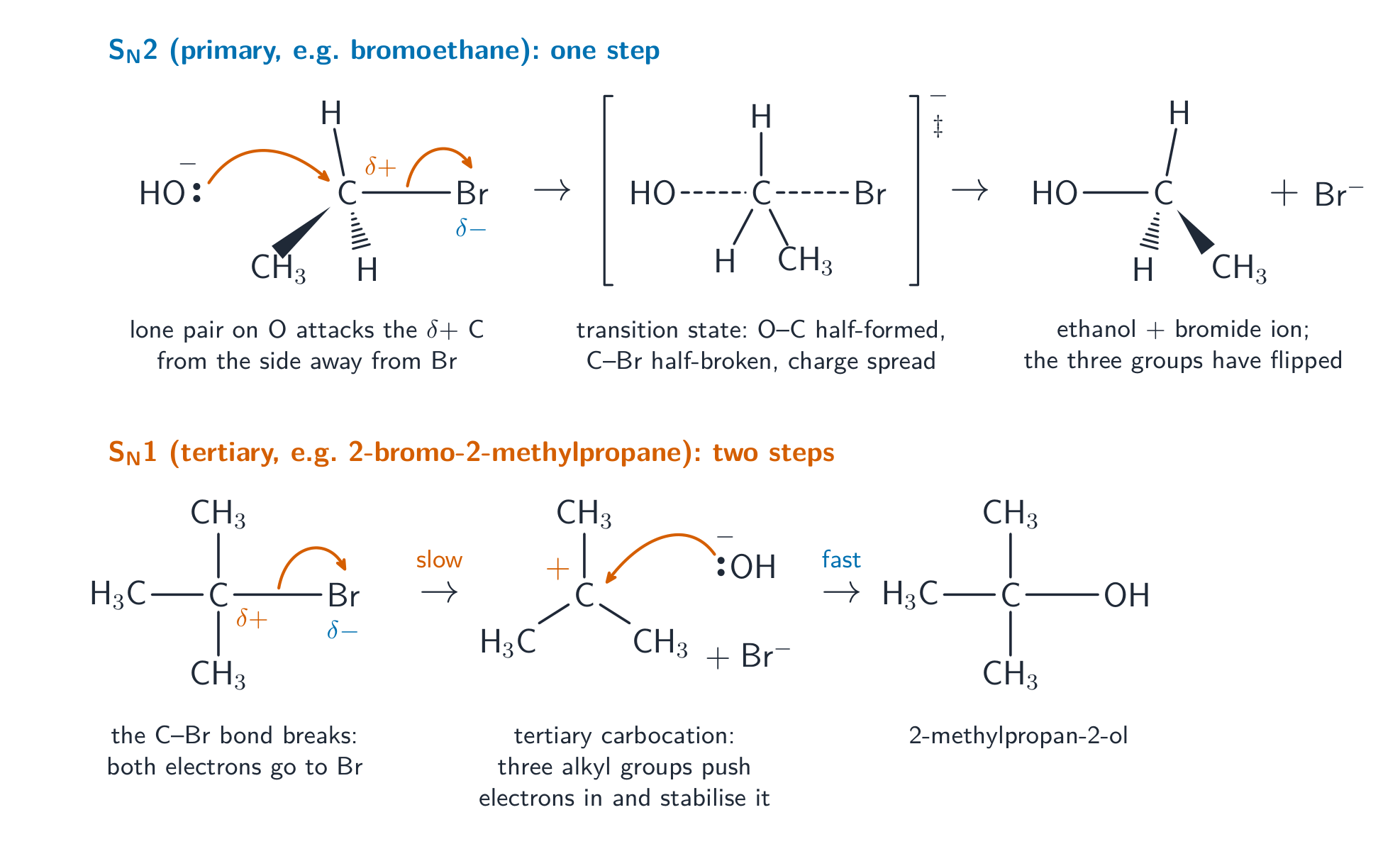 Top row, S N 2: a curly arrow from a lone pair on the oxygen of hydroxide to the delta-plus carbon of bromoethane and a second from the carbon-bromine bond to bromine; a bracketed transition state with dashed O-C and C-Br bonds and a negative charge; then ethanol and bromide with the three other groups flipped. Bottom row, S N 1: a curly arrow from the C-Br bond of 2-bromo-2-methylpropane to Br in a slow step, a flat tertiary carbocation attacked by the hydroxide lone pair in a fast step, giving 2-methylpropan-2-ol