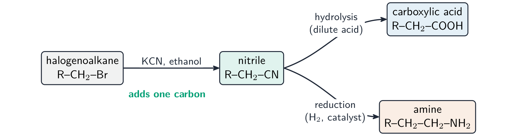A scheme: a halogenoalkane becoming a nitrile with KCN (adding one carbon), then the nitrile hydrolysing to a carboxylic acid or reducing to an amine