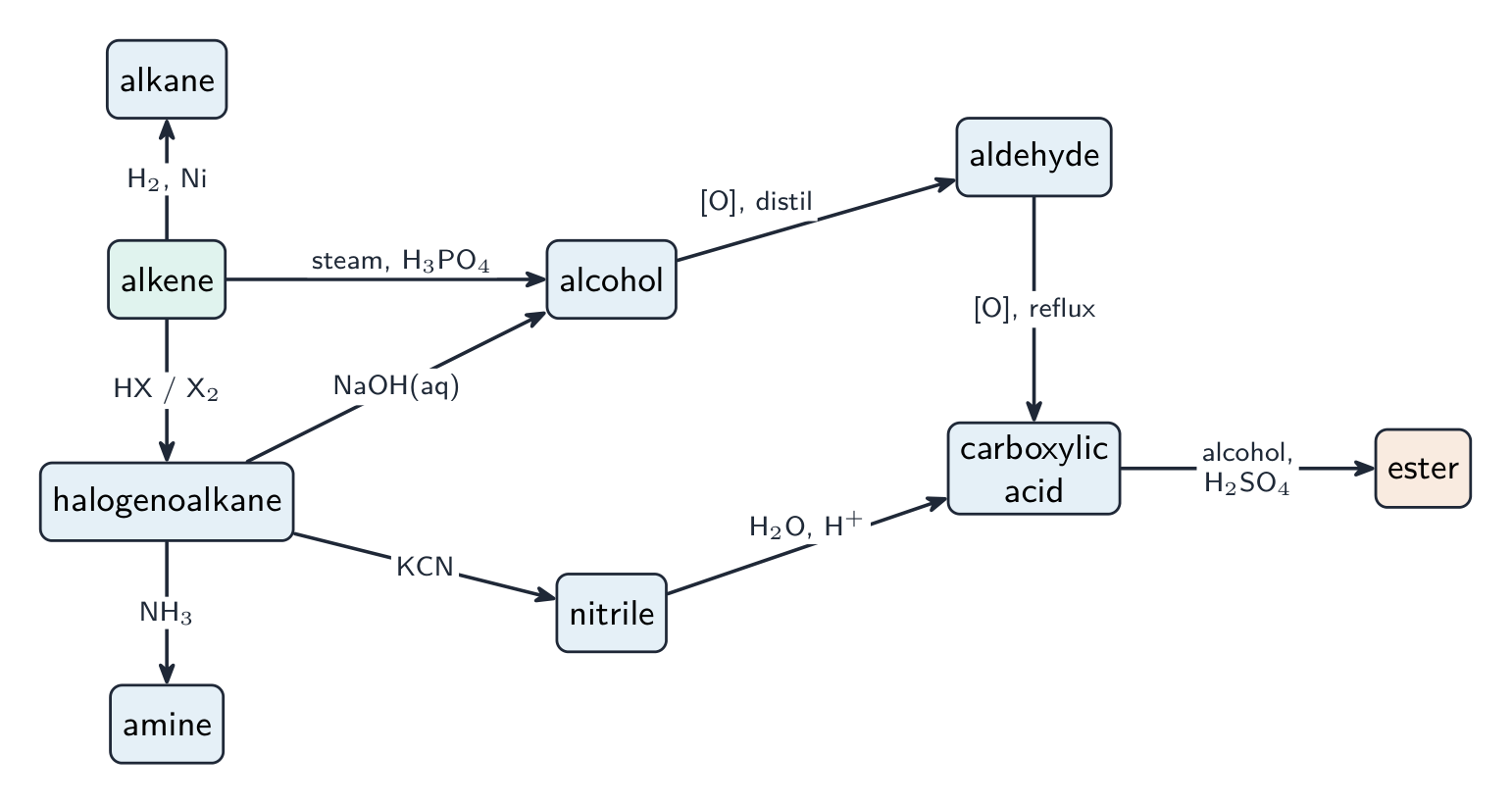 A network diagram linking alkene, alkane, halogenoalkane, alcohol, aldehyde, nitrile, amine, carboxylic acid and ester by labelled reagent arrows