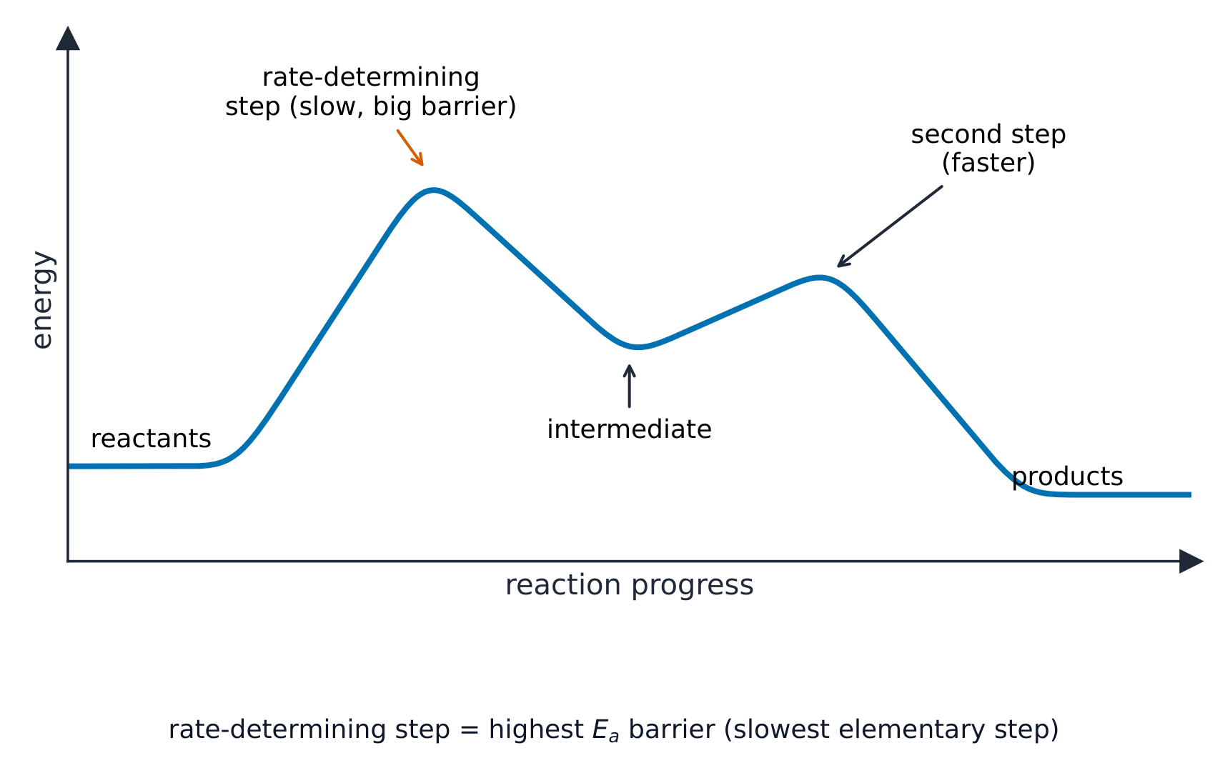 A reaction energy profile with two humps: a tall first barrier marked as the slow rate-determining step, a dip for the intermediate, then a smaller second barrier