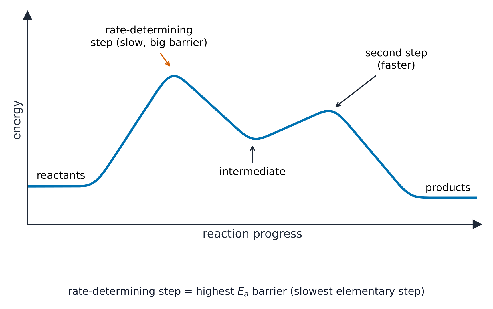 A reaction energy profile with two humps: a tall first barrier marked as the slow rate-determining step, a dip for the intermediate, then a smaller second barrier
