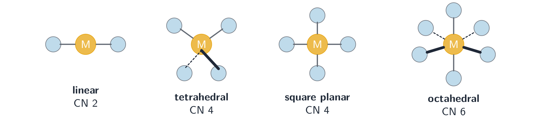 Four complexes: a linear two-ligand, a tetrahedral and a square planar four-ligand, and an octahedral six-ligand, each labelled with its coordination number