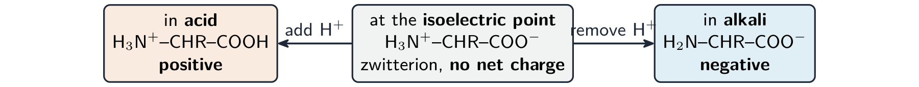 An amino acid drawn three ways: positively charged in acid, a neutral zwitterion at the isoelectric point, and negatively charged in alkali