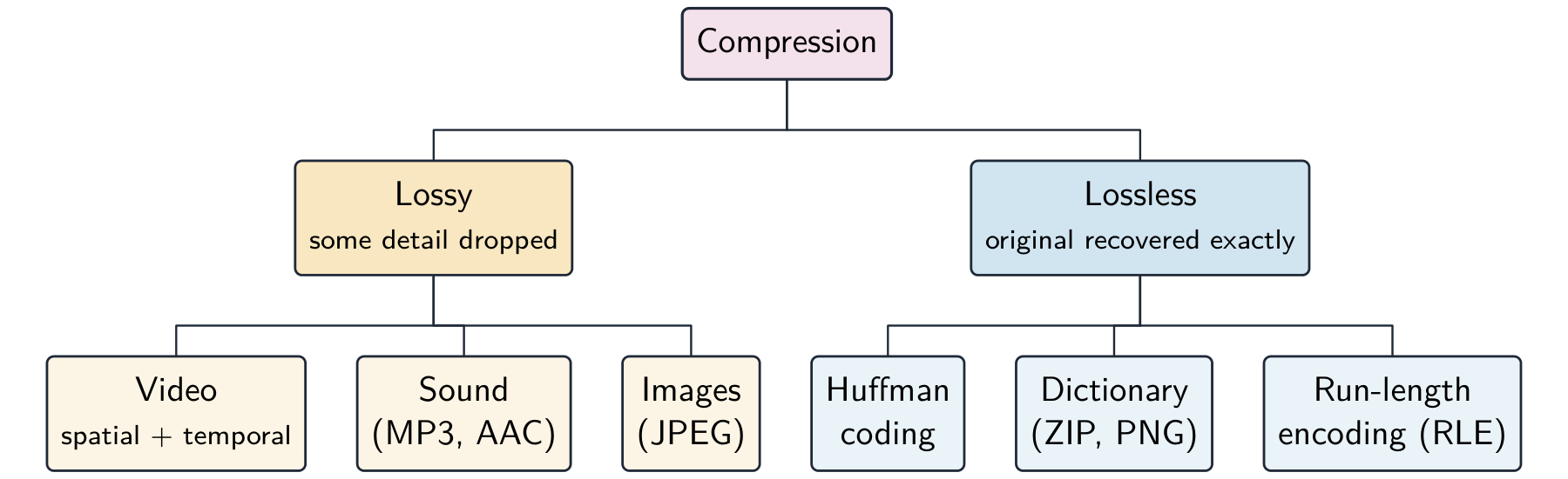 A tree classifying compression into lossless (RLE, dictionary/ZIP/PNG, Huffman) and lossy (JPEG images, MP3/AAC sound, video) with examples under each branch