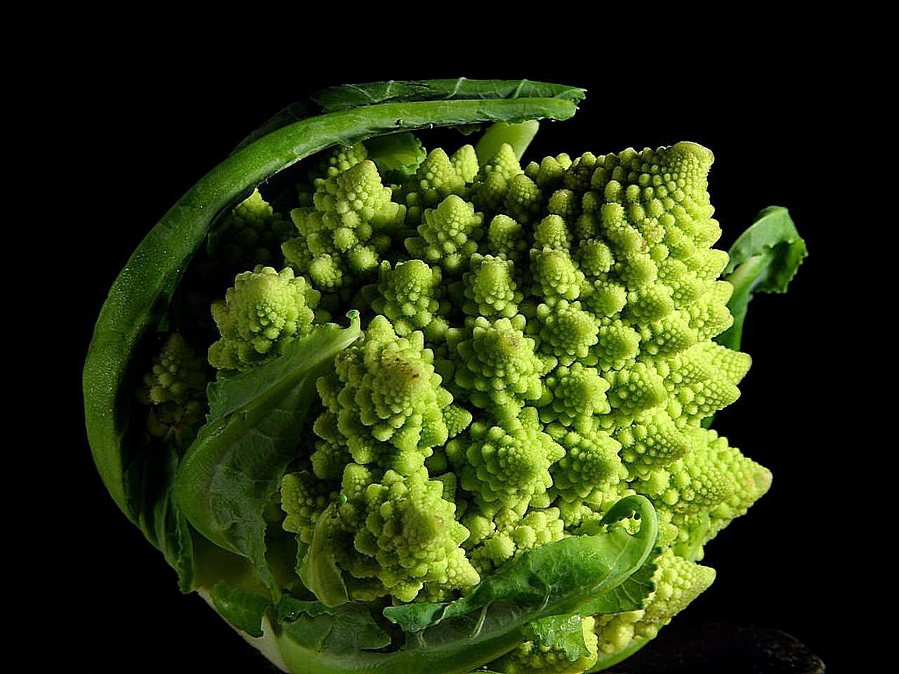A head of Romanesco broccoli showing self-similar spirals
