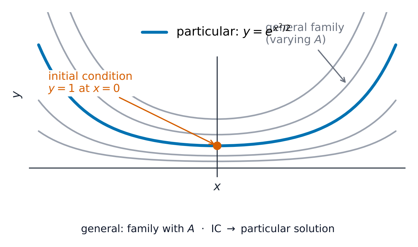 The constant gives a family of curves; an initial condition picks out one