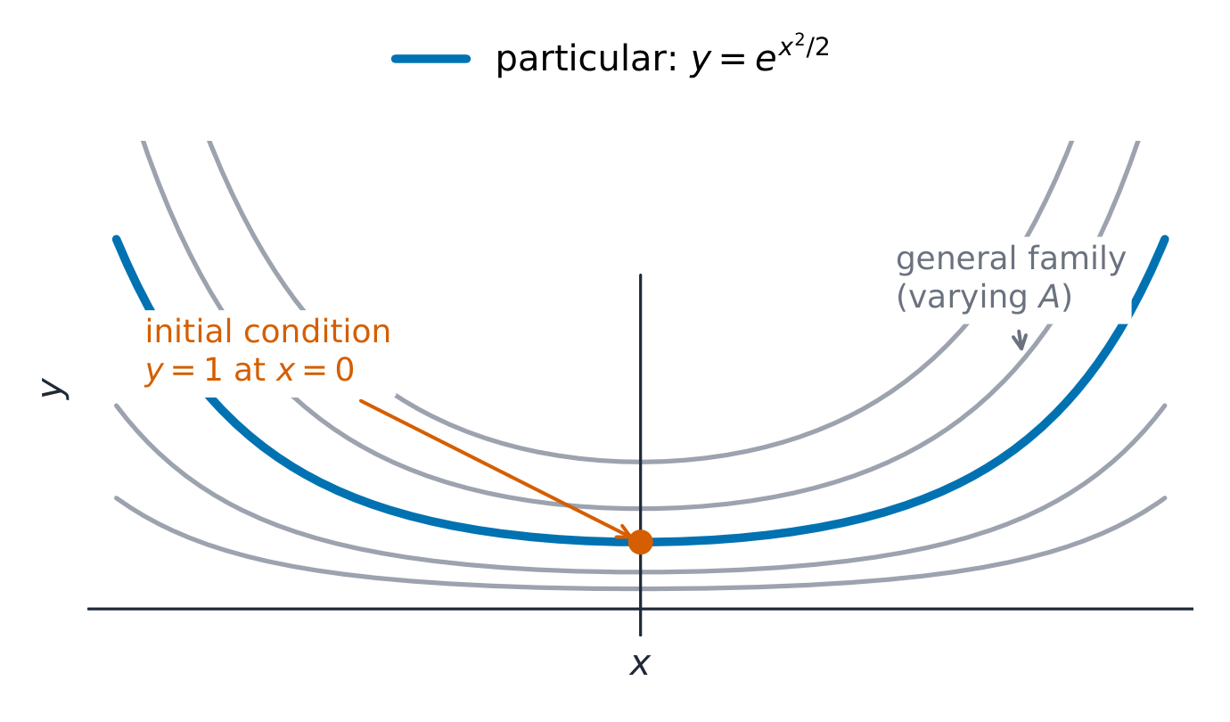 A family of curves for different constants, with one curve passing through (0, 1) highlighted