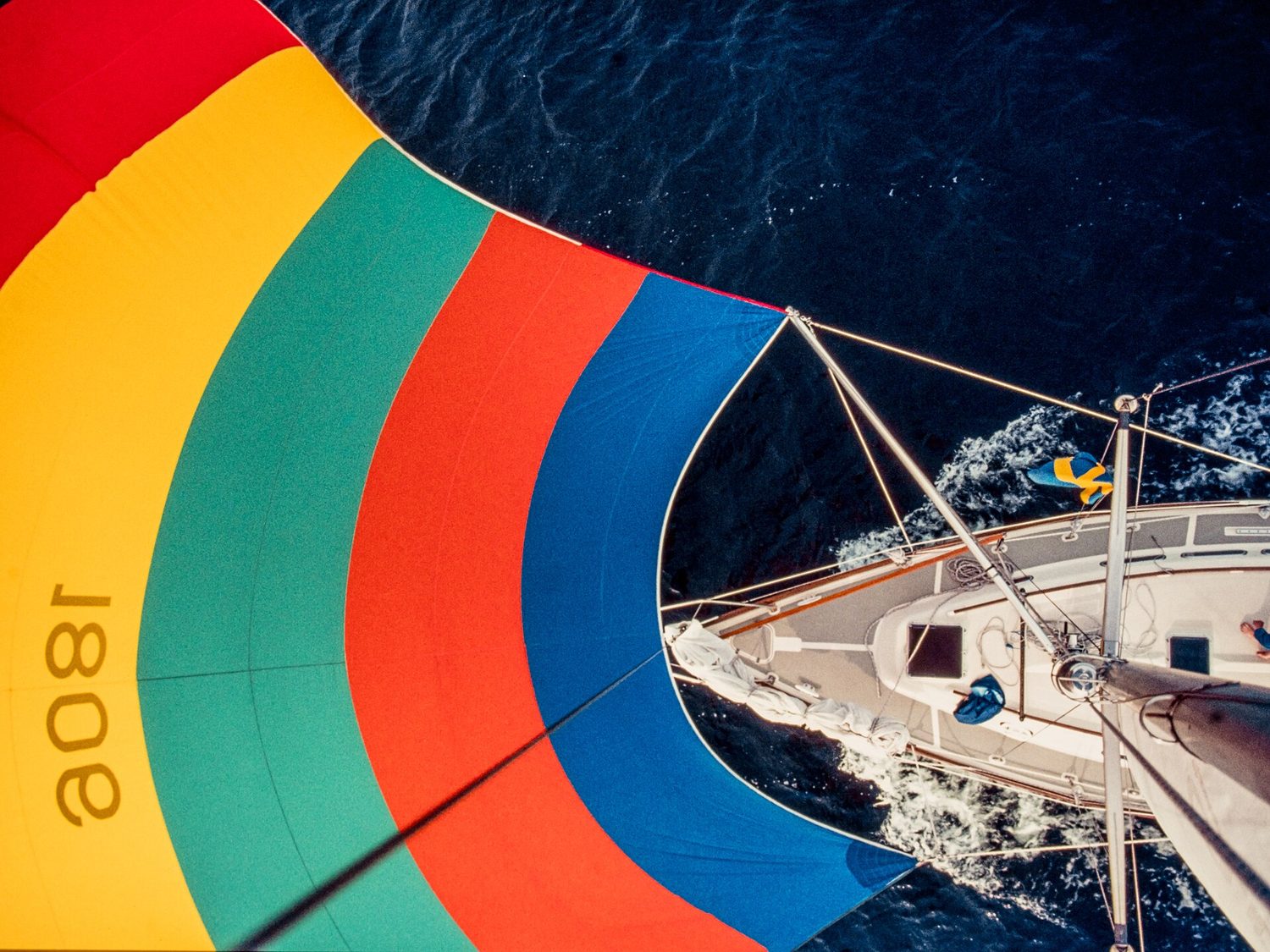 Forces like wind and water are vectors, with size and direction