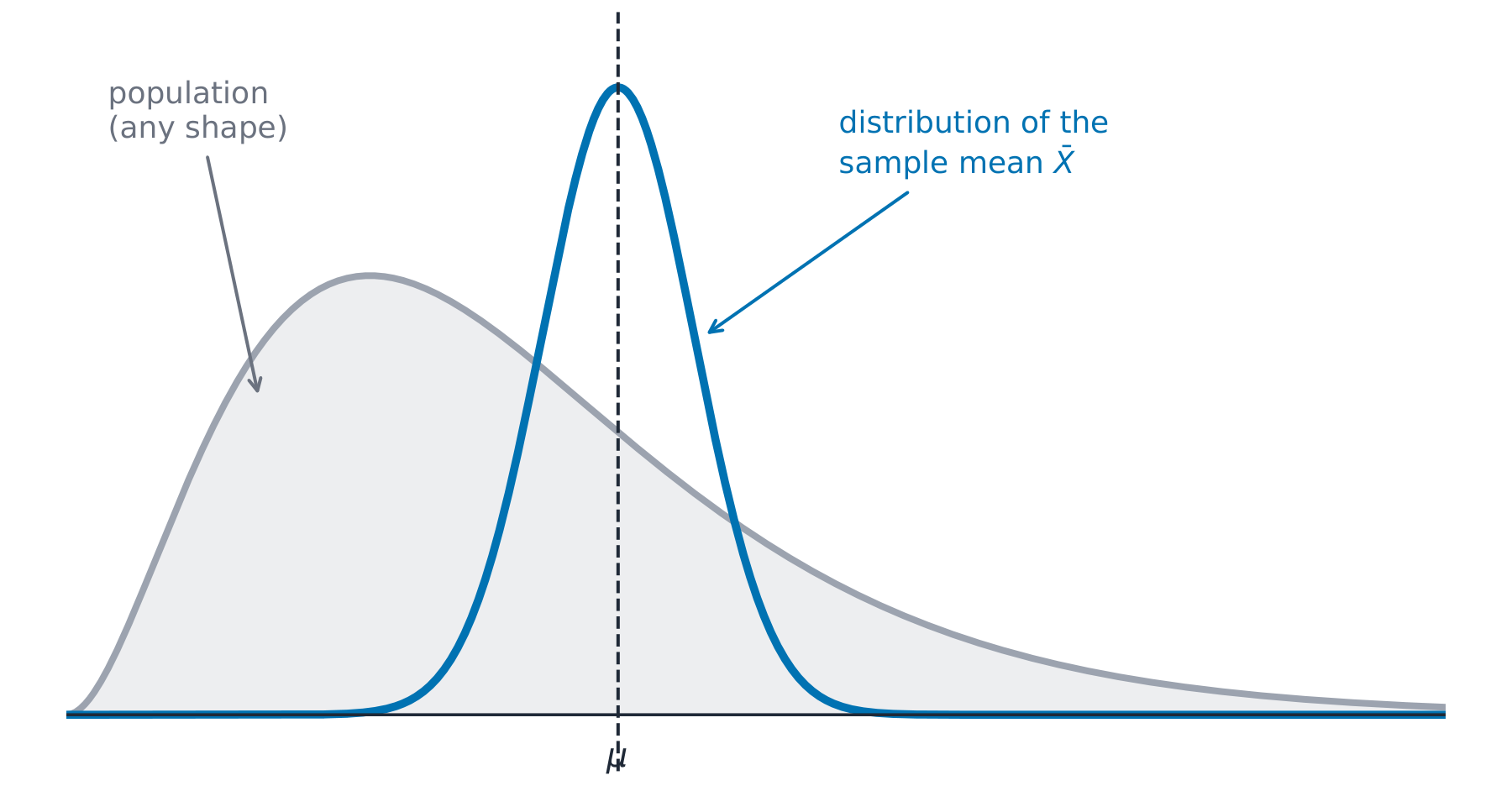 A skewed population curve and the much narrower bell of the sample mean over the same centre