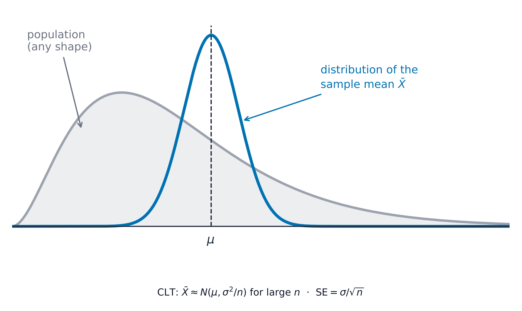 A skewed population curve and the much narrower bell of the sample mean over the same centre