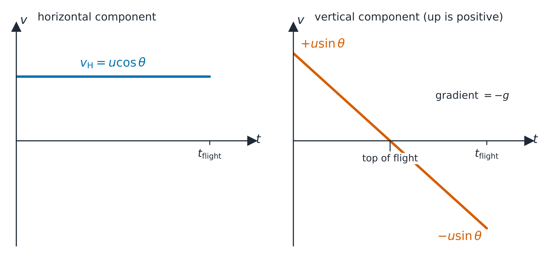 Two velocity–time sketches for a projectile with upwards positive. Left: the horizontal component is a flat line at u cos theta for the whole flight. Right: the vertical component is a straight line of gradient minus g from plus u sin theta, through zero at the top of the flight, to minus u sin theta at landing