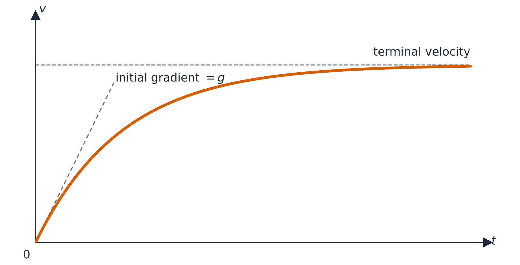 Velocity-time graph showing speed rising with initial gradient g, then curving and levelling off at the terminal velocity, with a dashed tangent at the origin and a dashed asymptote