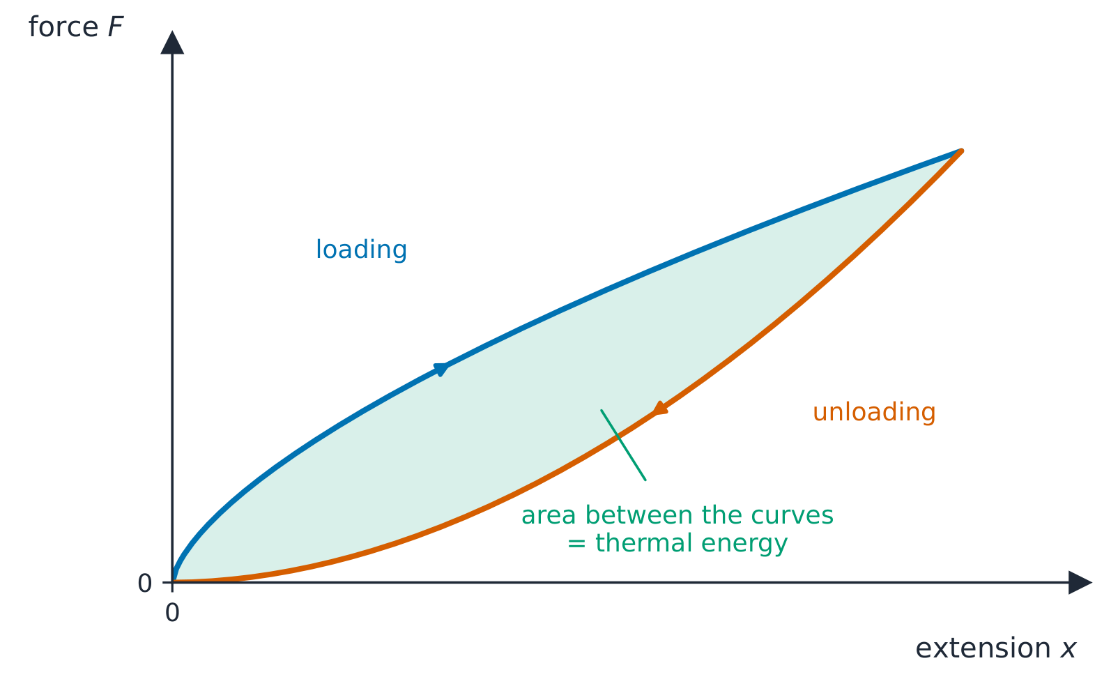 Force against extension for a rubber band: the loading curve lies above the unloading curve, both run from the origin to the same maximum point, and the area between them is shaded as the energy dissipated as thermal energy