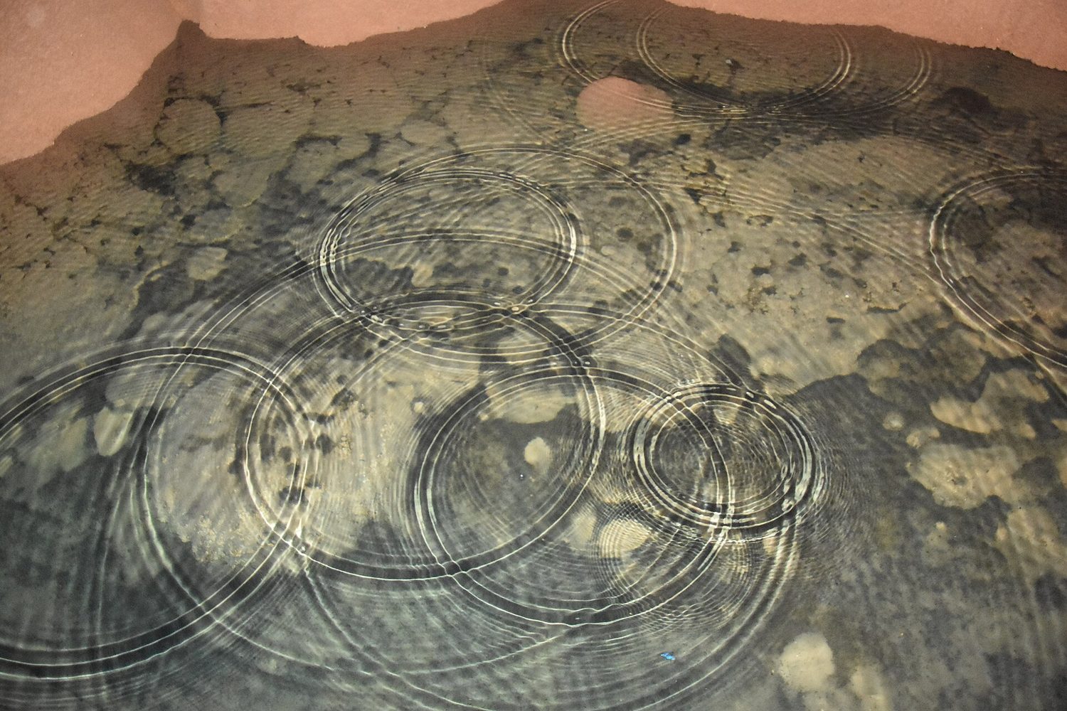 Concentric ripples spreading on water