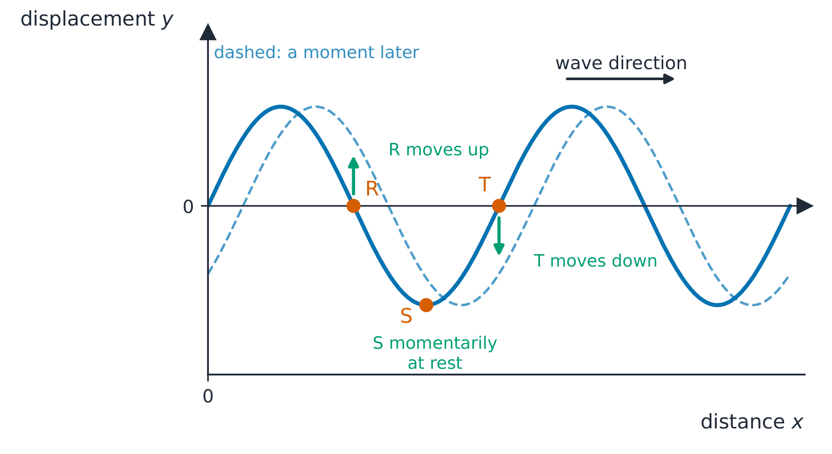 A transverse wave profile moving to the right, with its position a moment later dashed; marked point R is moving up, point S at the trough is momentarily at rest and point T is moving down, each shown by an arrow