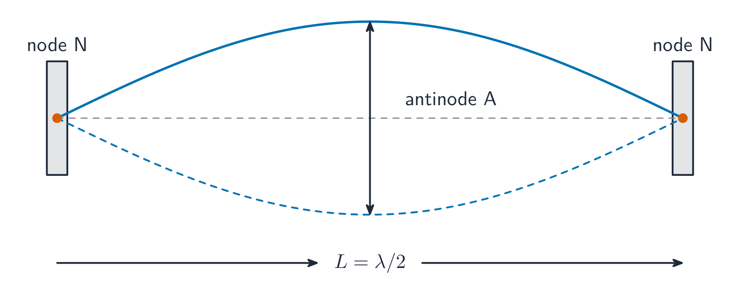 A stretched string vibrating in its fundamental mode: a single loop with a node at each fixed end and an antinode in the middle, length L equals half a wavelength