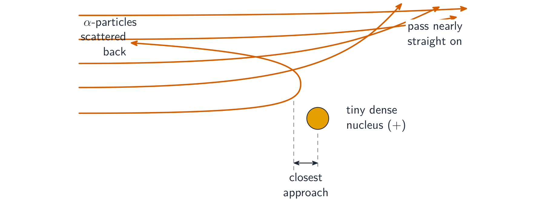 Paths of alpha particles near a tiny dense nucleus: most pass almost straight through, some are deflected through small angles, and a rare one approaching head-on is scattered back at its closest approach