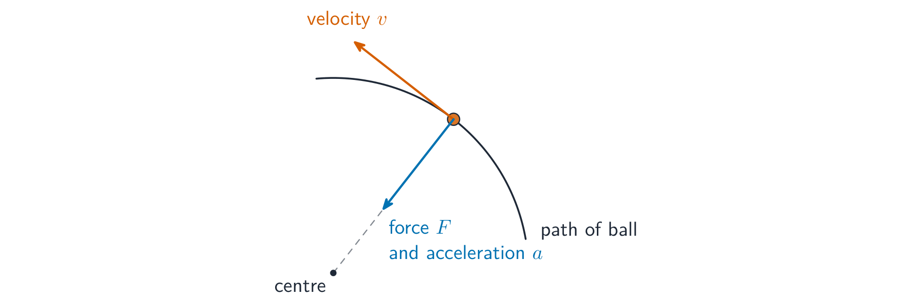 A ball moving along a circular path: its velocity points along the tangent while the force and acceleration point inwards towards the centre