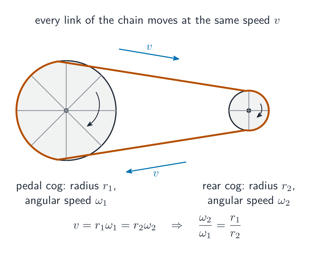 A bicycle chain round a large pedal cog and a small rear cog; every link of the chain moves at the same speed v, so v equals r1 omega1 equals r2 omega2 and the small cog turns faster
