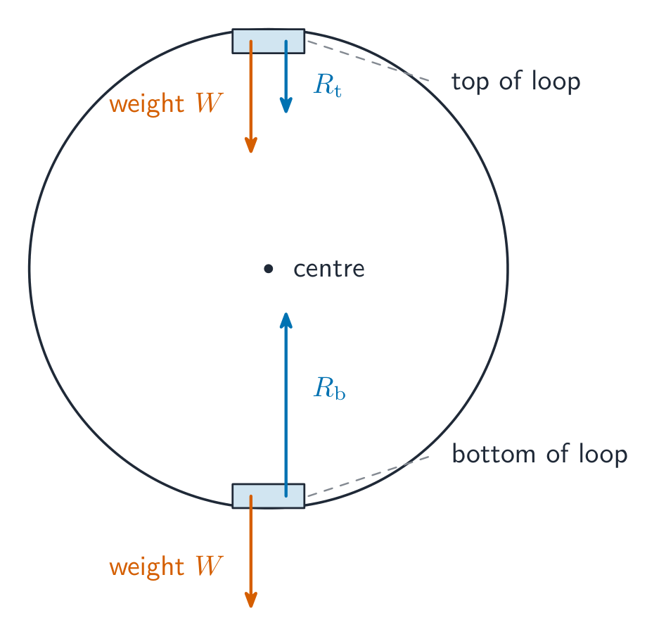 An object on the inside of a vertical loop drawn at the top and bottom; at the top the weight W and normal contact force R_t both point down, at the bottom the normal contact force R_b points up and the weight W points down