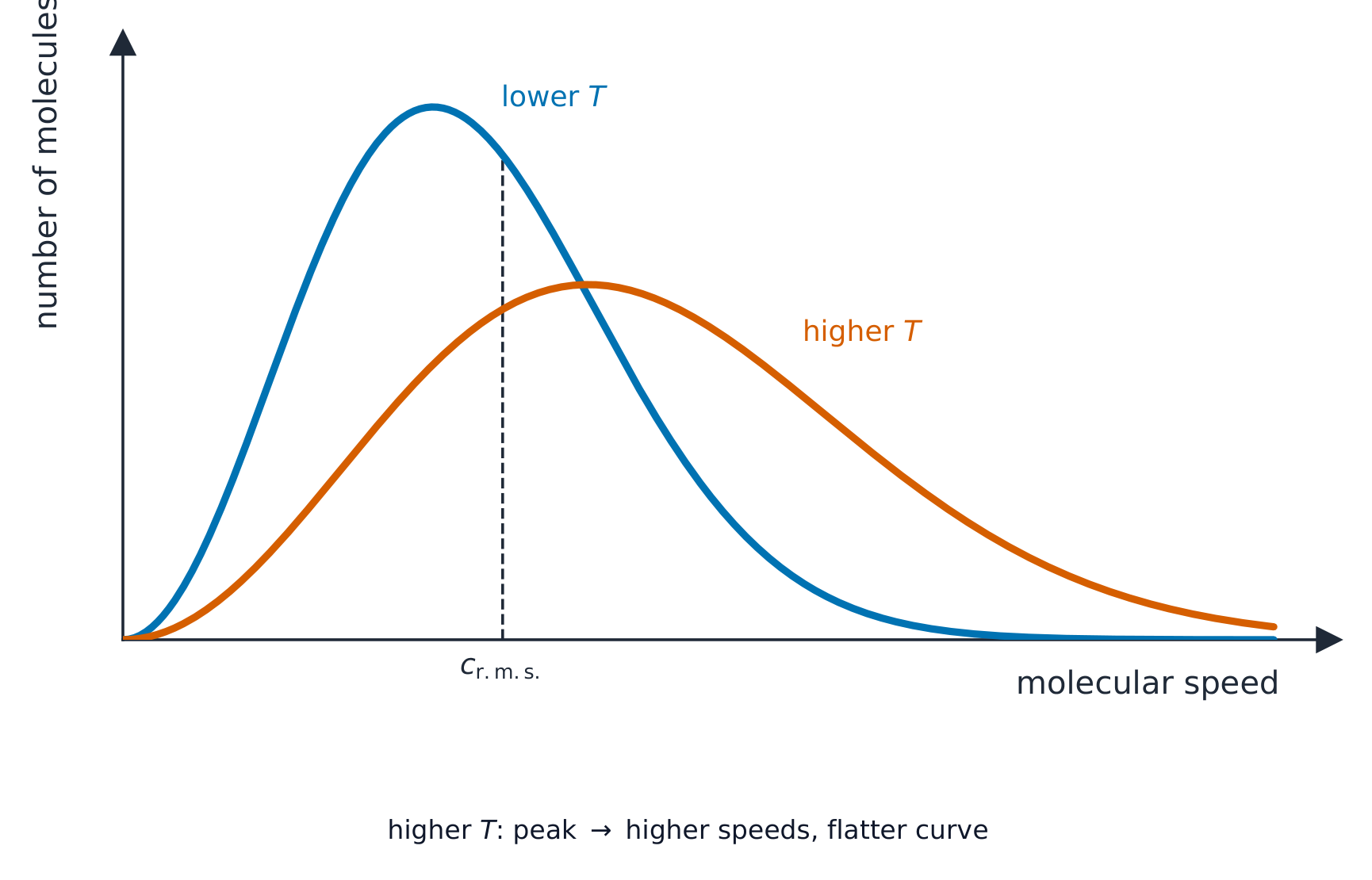 The Maxwell-Boltzmann distribution of molecular speeds: at a lower temperature the curve is tall and narrow; at a higher temperature it is broader and shifted to higher speeds. The root-mean-square speed is marked