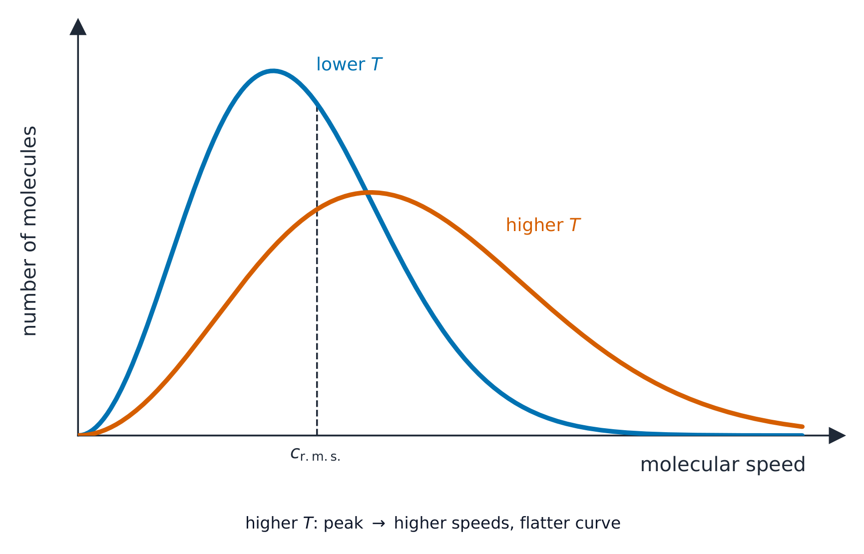 The Maxwell-Boltzmann distribution of molecular speeds: at a lower temperature the curve is tall and narrow; at a higher temperature it is broader and shifted to higher speeds. The root-mean-square speed is marked