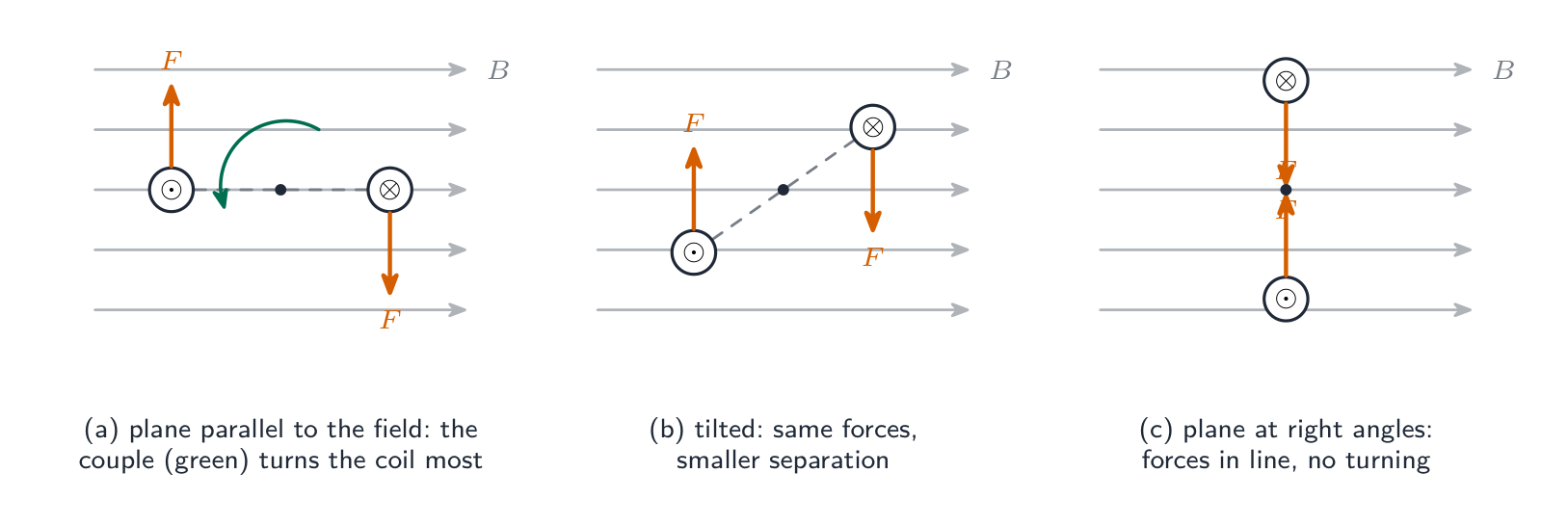 Three end views of a rectangular coil in a horizontal field: with the coil plane parallel to the field the two vertical sides feel equal and opposite vertical forces that form a couple turning the coil; with the coil tilted the forces are unchanged but their separation is smaller; with the coil plane at right angles to the field the forces are in line and there is no turning effect