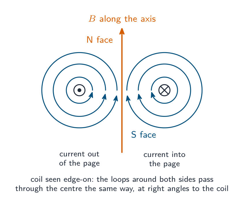 A flat circular coil seen edge-on: the current comes out of the page on one side (dot) and goes into the page on the other (cross); field lines loop around each wire, all passing up through the centre of the coil in the same direction, so the coil acts like a short bar magnet